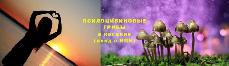 Псилоцибиновые грибы Magic Shrooms  Лабытнанги 